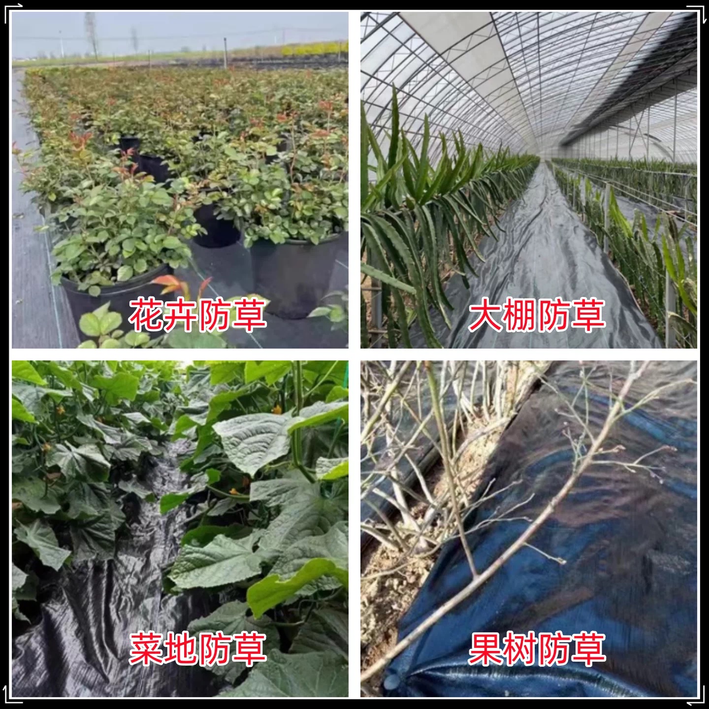 潜江市塑料薄膜防草布 - 价格